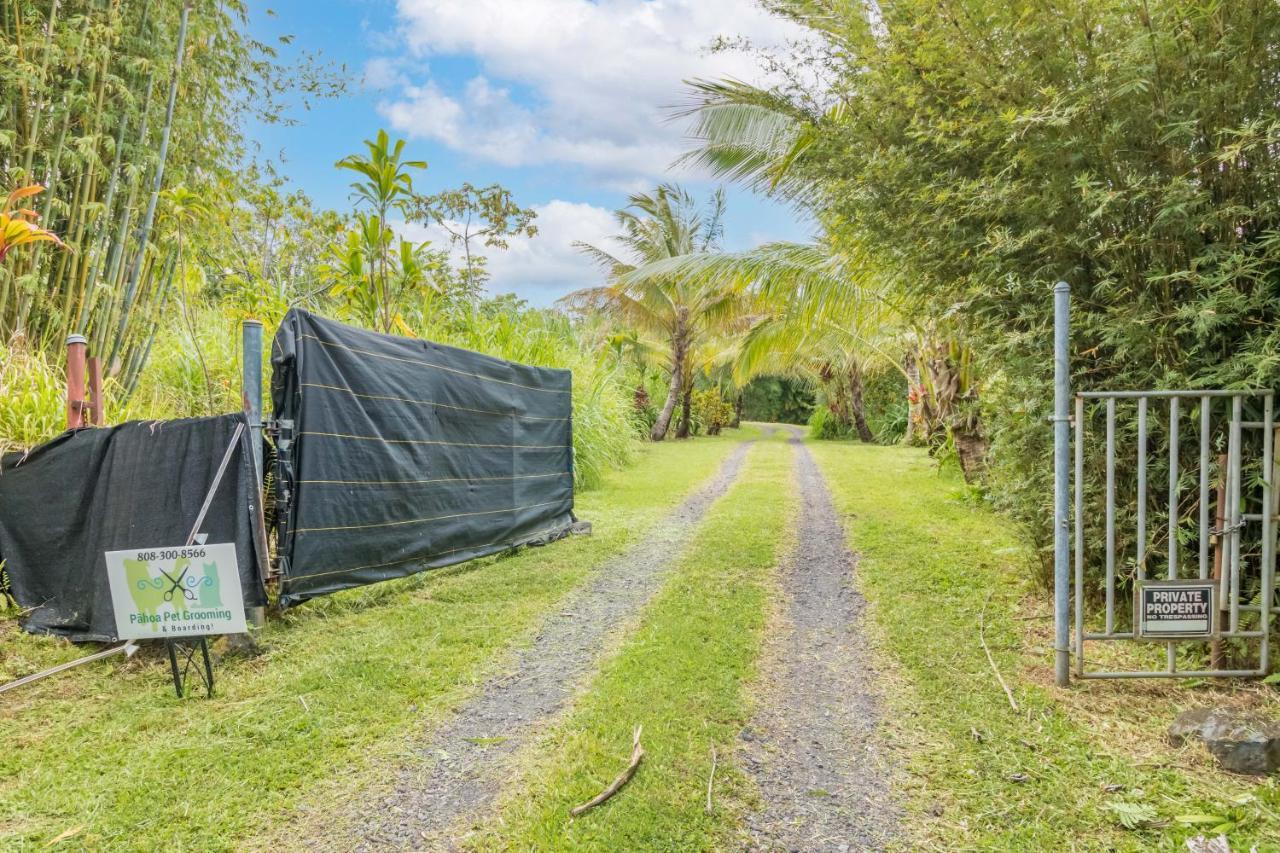 Off-grid Getaway With Ocean Views In Paradise *