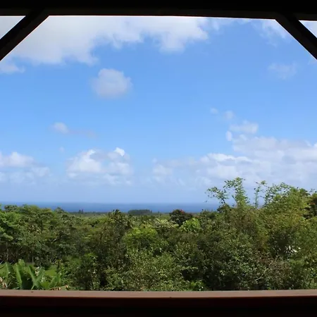 Off-Grid Getaway With Ocean Views In Paradise Pahoa Extérieur photo