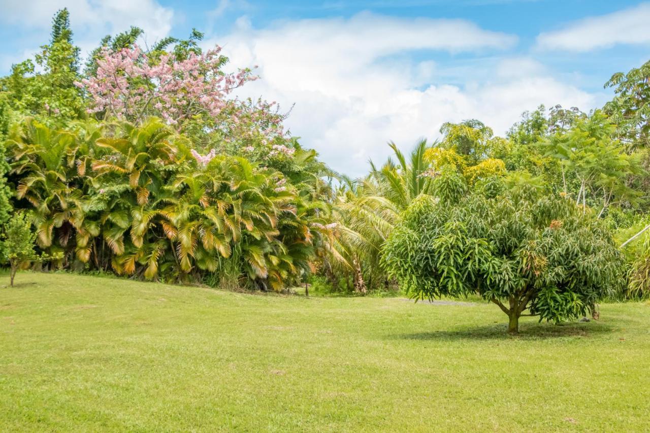 Off-grid Getaway With Ocean Views In Paradise * Pahoa