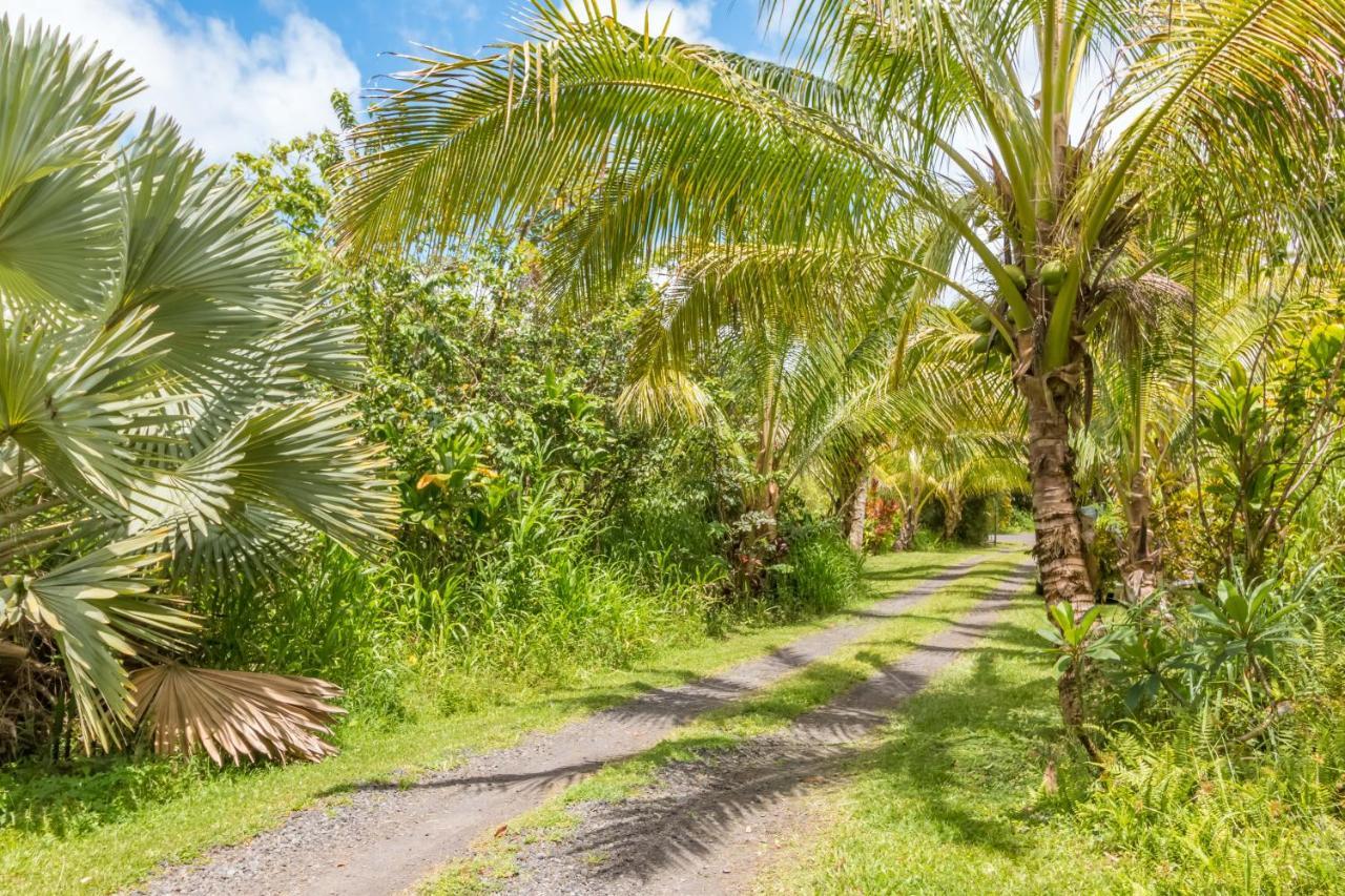Off-grid Getaway With Ocean Views In Paradise