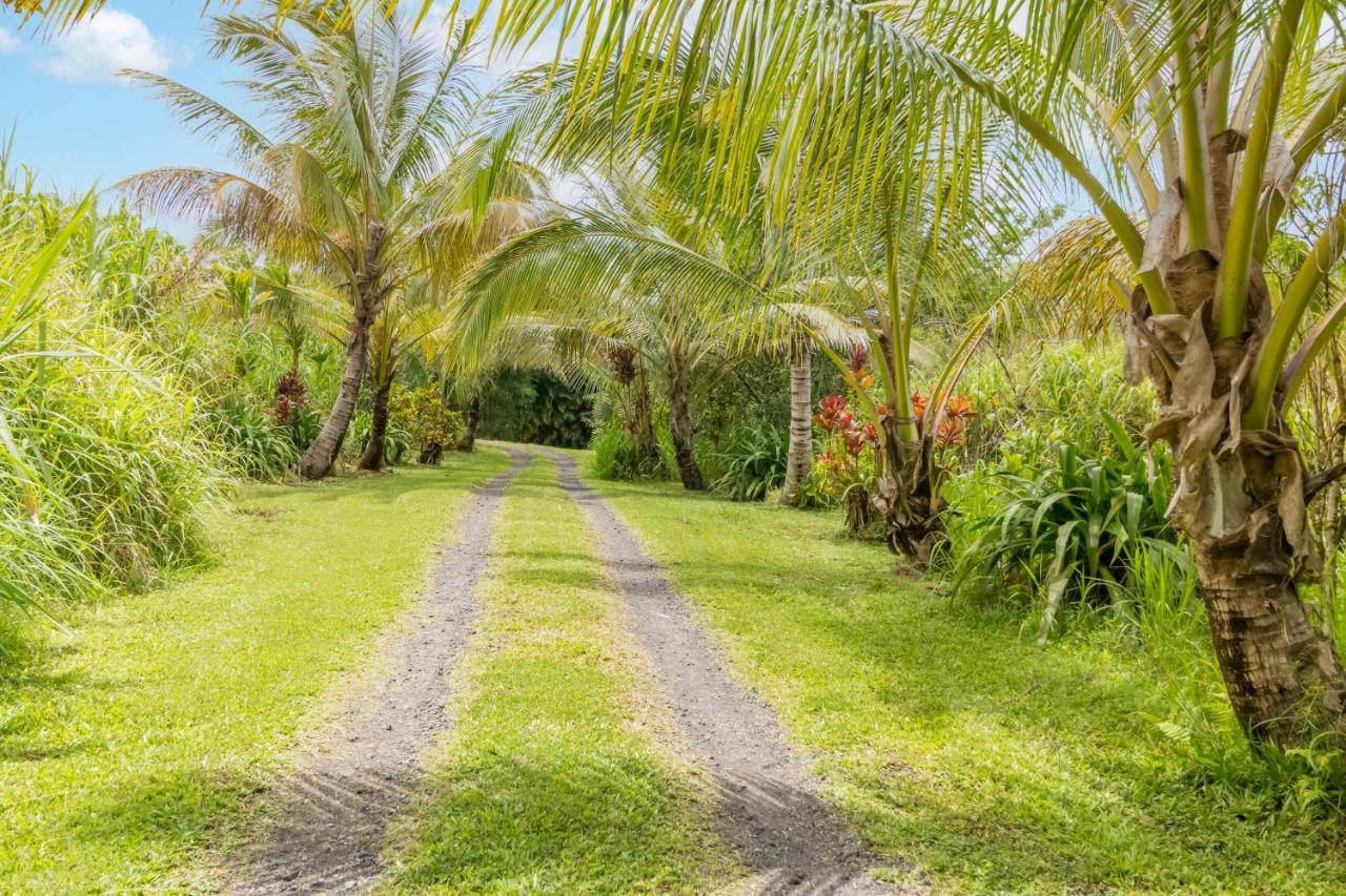 Off-grid Getaway With Ocean Views In Paradise *