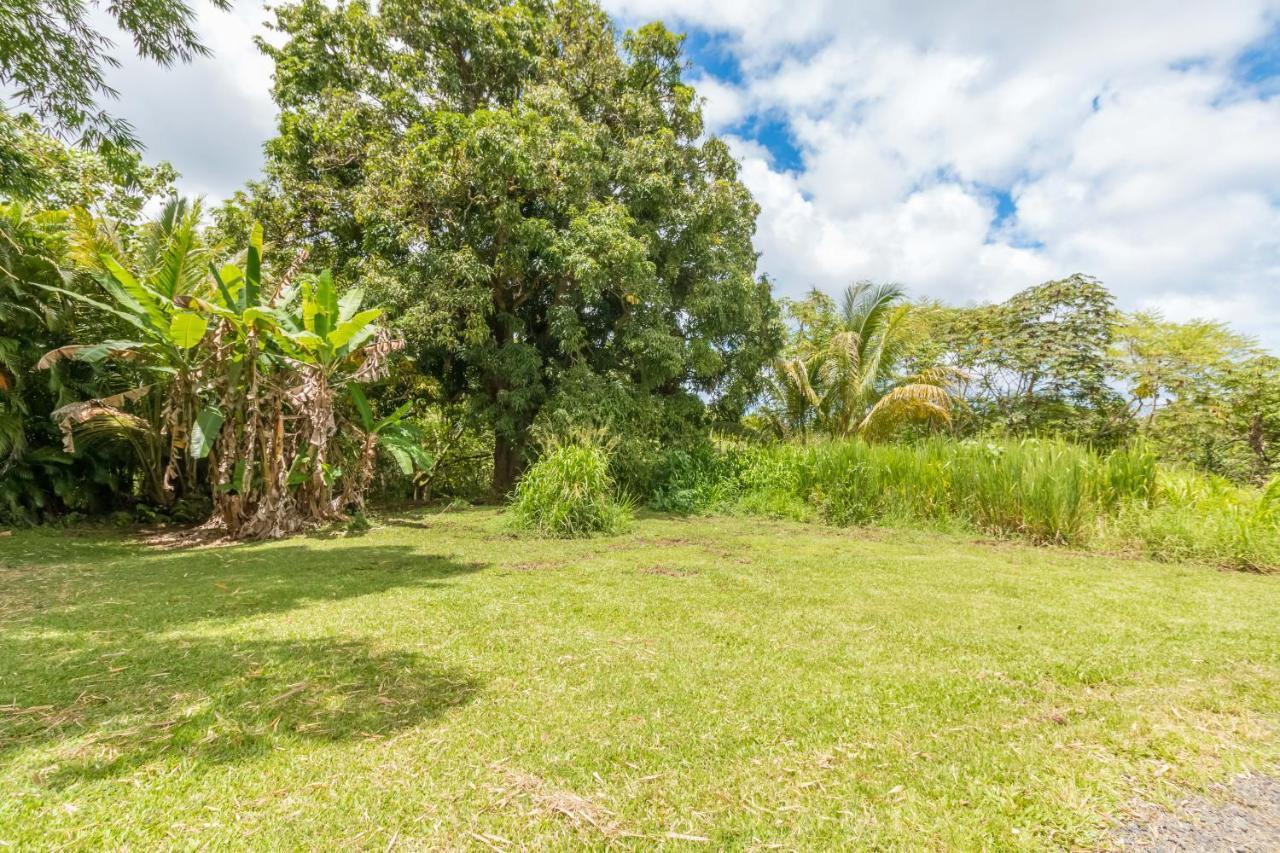 Off-grid Getaway With Ocean Views In Paradise Séjour chez l'habitant Pahoa