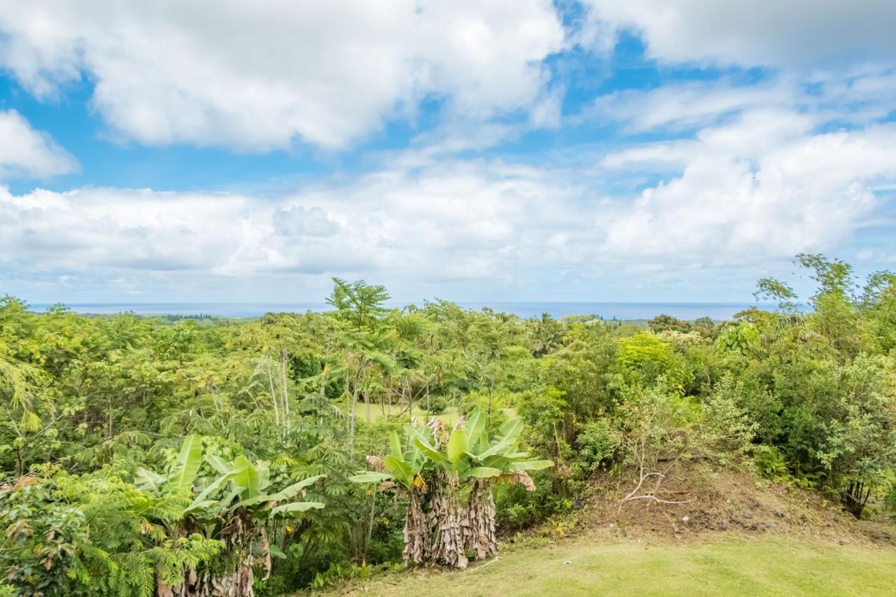 Off-grid Getaway With Ocean Views In Paradise Séjour chez l'habitant
