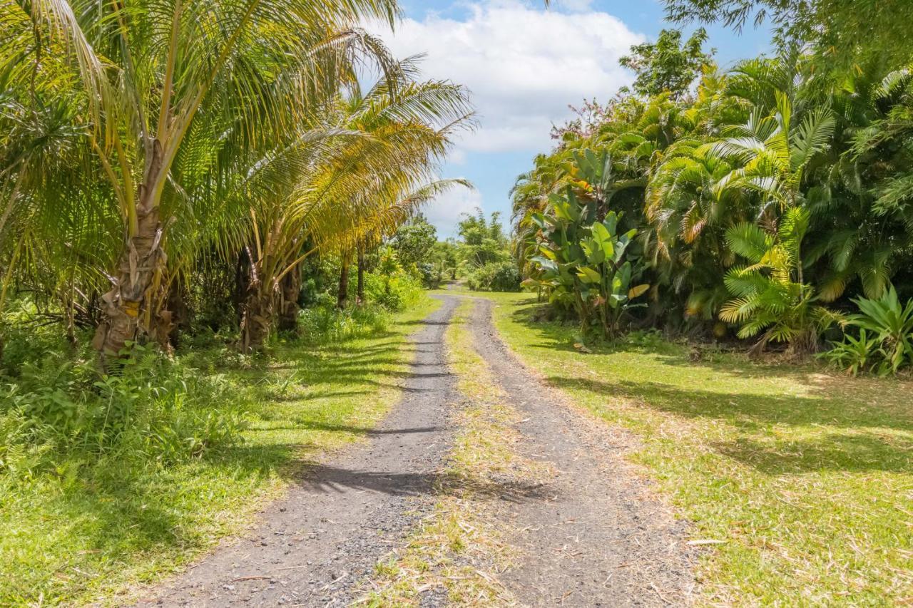 Séjour chez l'habitant Off-grid Getaway With Ocean Views In Paradise *