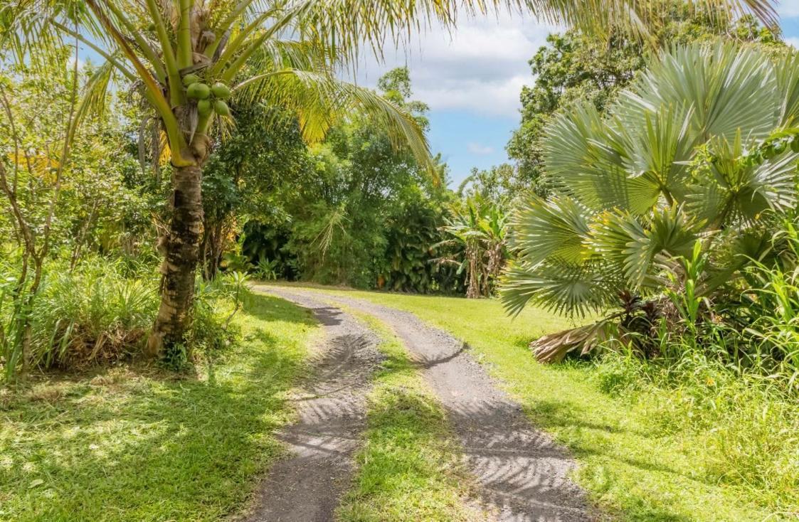 Séjour chez l'habitant Off-grid Getaway With Ocean Views In Paradise *