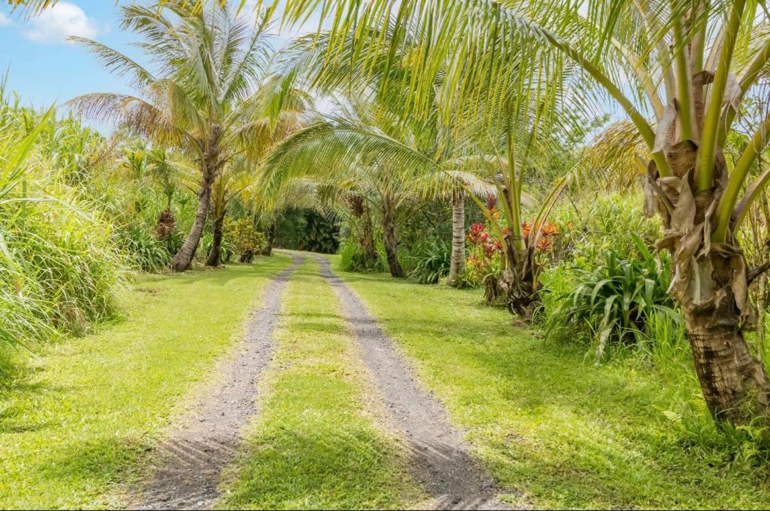 Off-grid Getaway With Ocean Views In Paradise