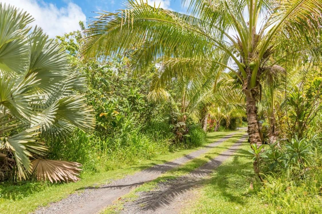 Séjour chez l'habitant Off-grid Getaway With Ocean Views In Paradise Pahoa